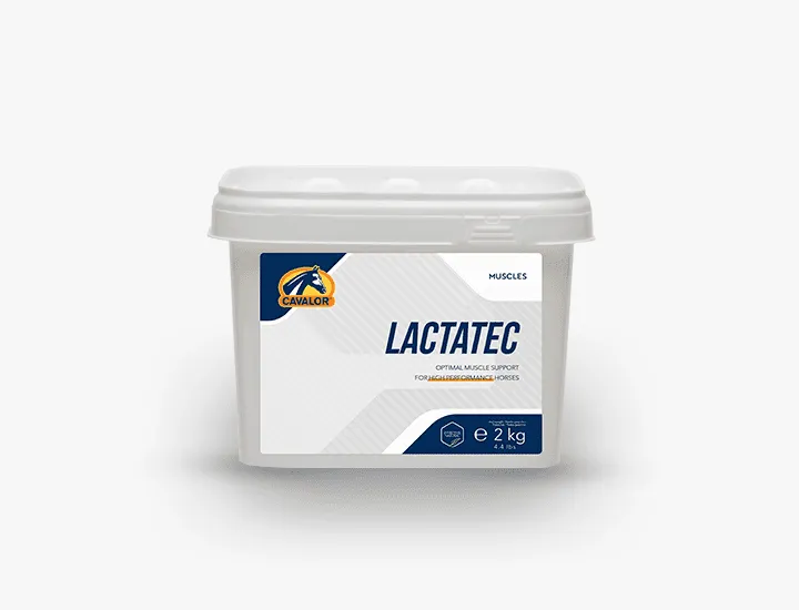 لاكتيك 2 كجم