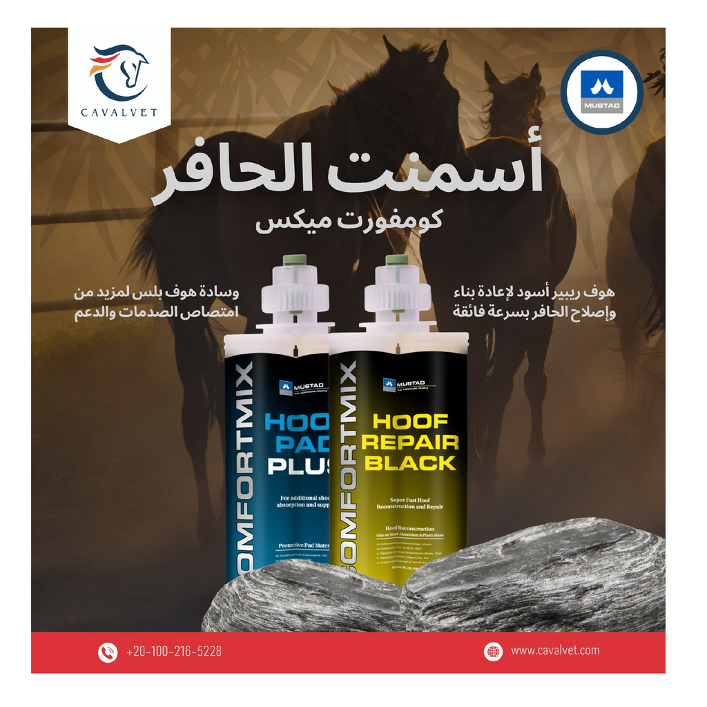 اسمنت حافر ازرق - موستد